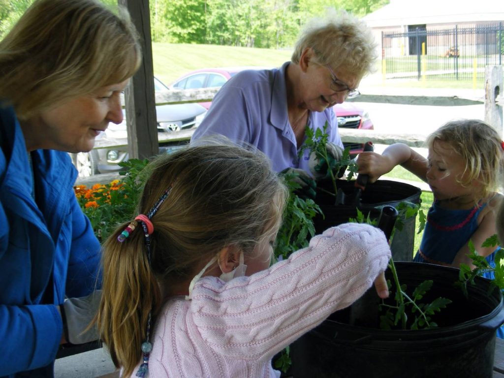 Picture of the Montessori Youth Planting plants