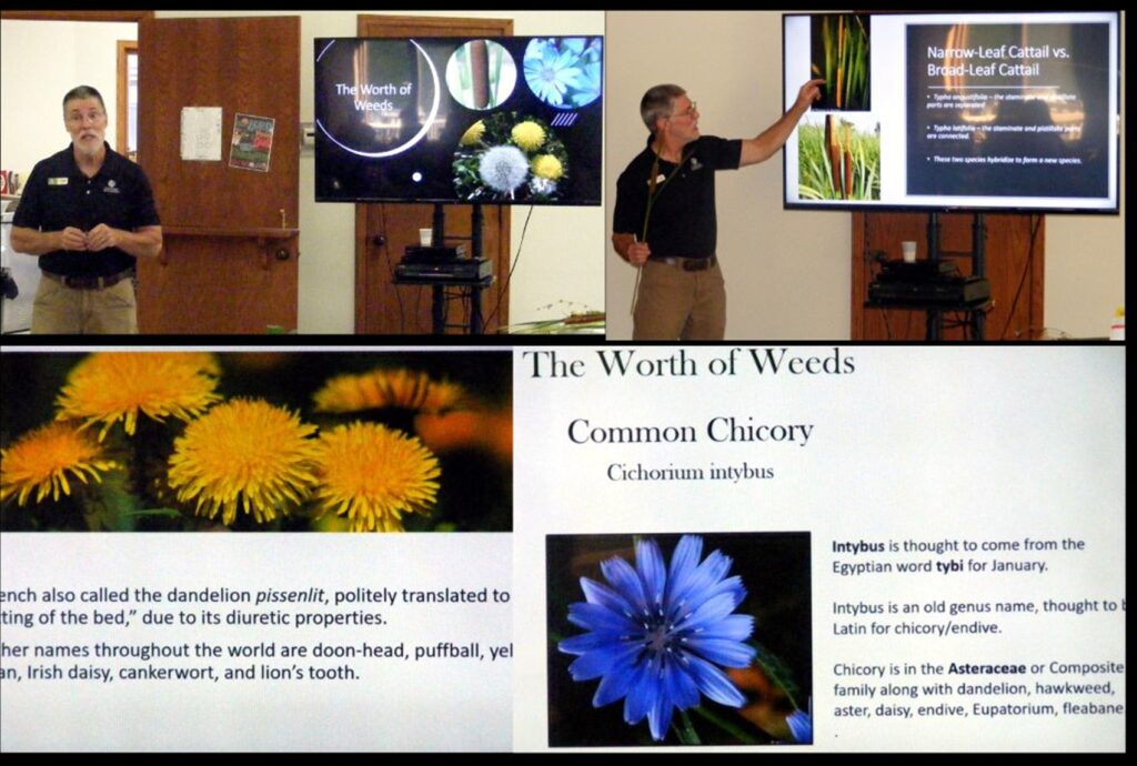 Foster Brown presents benefits of weeds